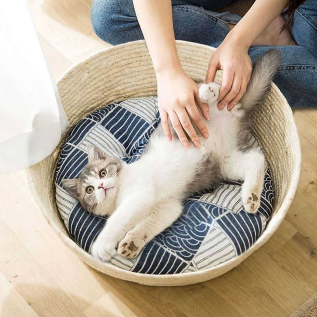 Dailypets Hand-Woven Cat Bed, Natural Sisal Basket for Indoor Cats