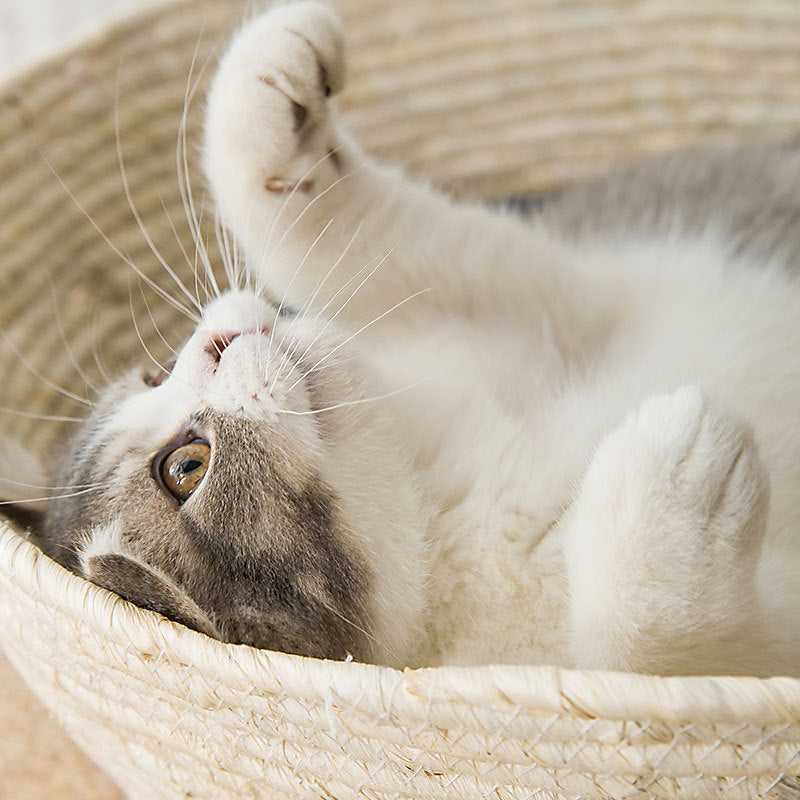 Dailypets Woven Sisal Cat Bed – Japanese Style Basket Lounger