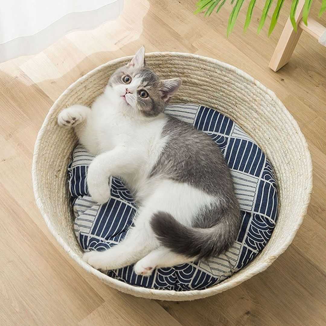 Dailypets Hand-Woven Cat Bed, Natural Sisal Basket for Indoor Cats