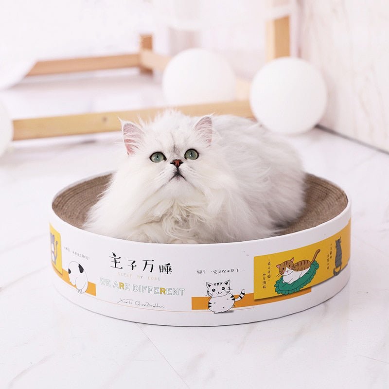 Dailypets Round Cat Scratcher Bed – Corrugated Cardboard Lounge for Scratching and Rest