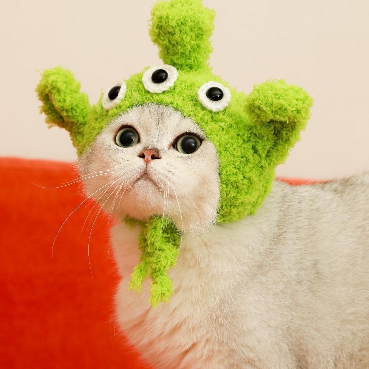Dailypets Cute Alien Cat Accessory Set for Photo Sessions and Costume Parties