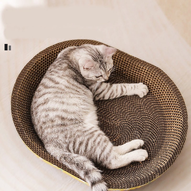 Dailypets Cat Scratch Nest – Cozy Cardboard Play & Rest Spot