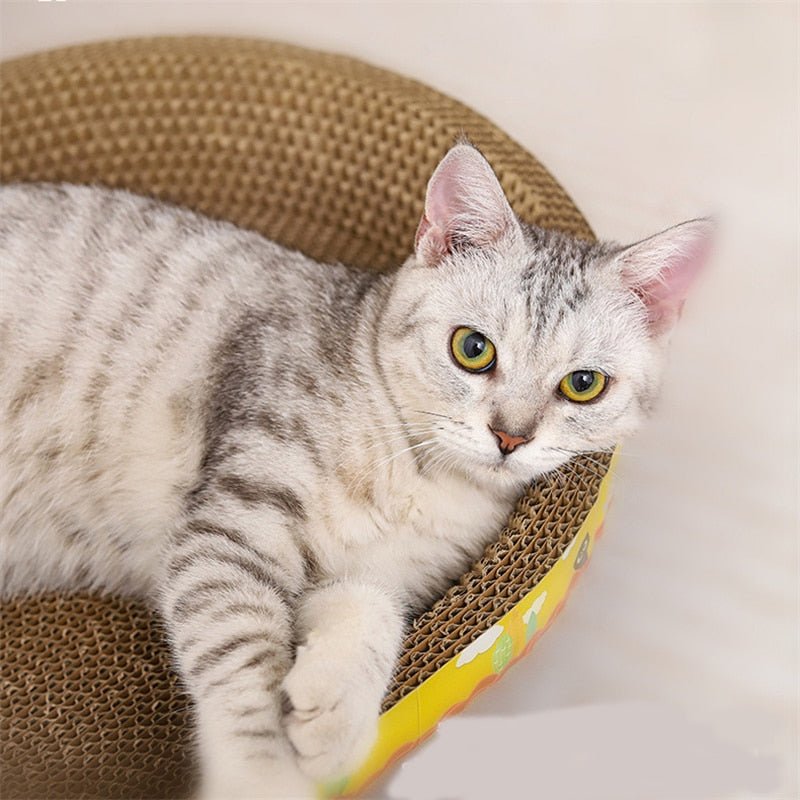 Dailypets Cat Scratcher Lounger, Cartoon Cardboard Bed for Indoor Cats