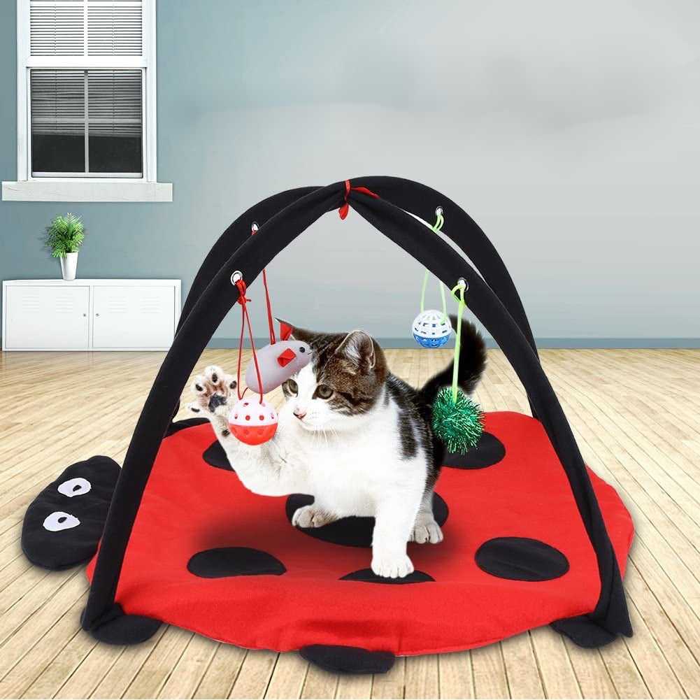 Dailypets Fleece Cat Tent – Ladybug Cat Bed with 4 Play Toys