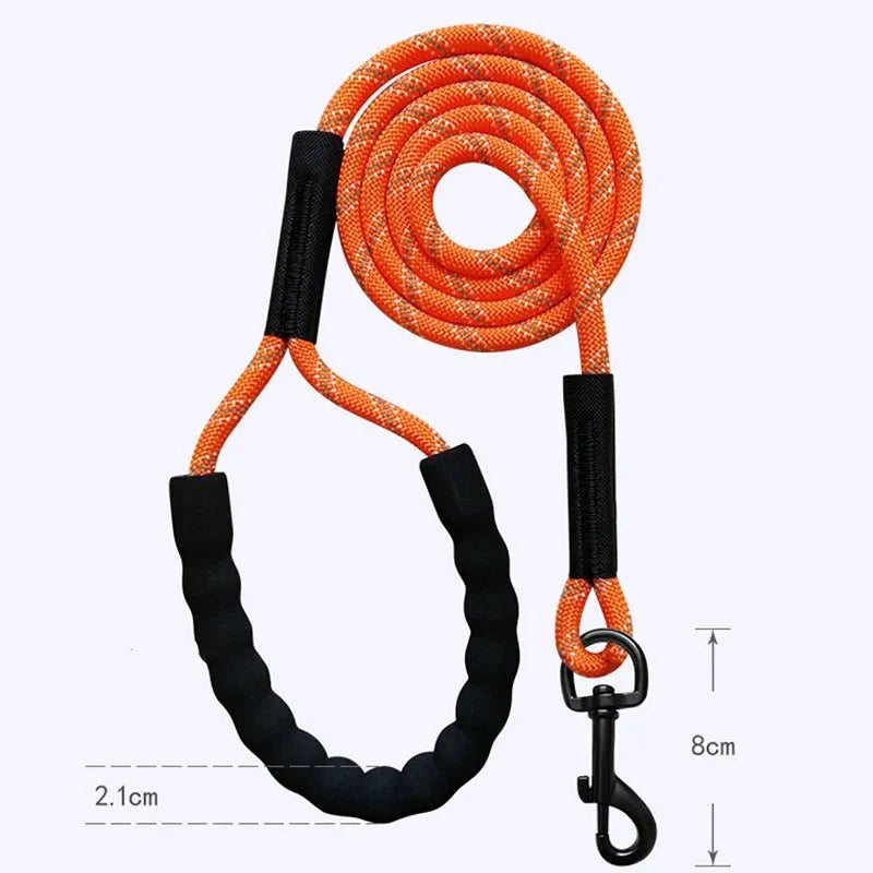 Dailypets Reflective Dog Training Line for Recall Practice & Outdoor Adventures