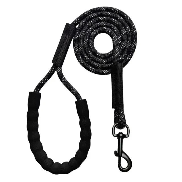 Dailypets Reflective Dog Training Line for Recall Practice & Outdoor Adventures