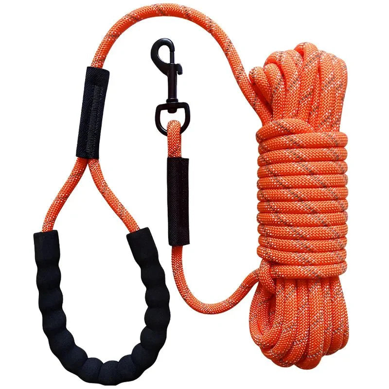 Dailypets Reflective Dog Training Line for Recall Practice & Outdoor Adventures