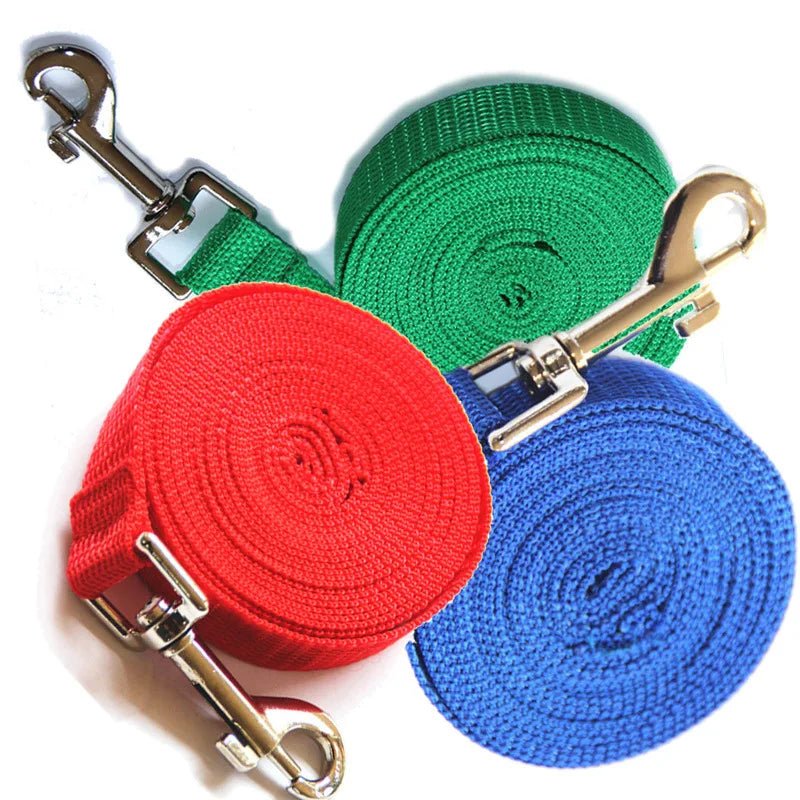 Dailypets Long Dog Training Leash for Recall Practice & Outdoor Freedom up to 50 m