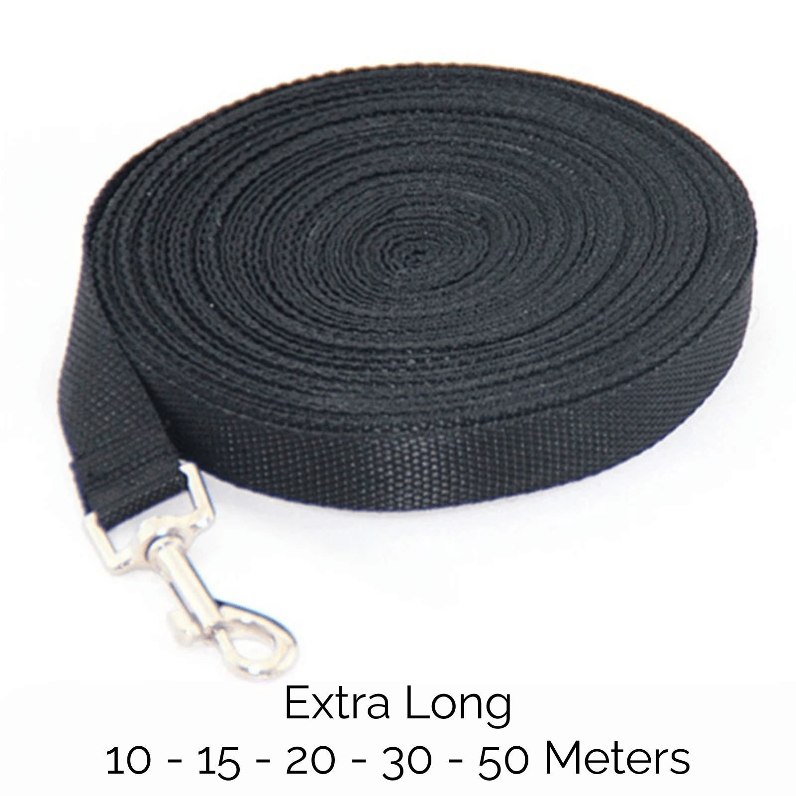 Dailypets Long Dog Training Leash for Recall Practice & Outdoor Freedom up to 50 m