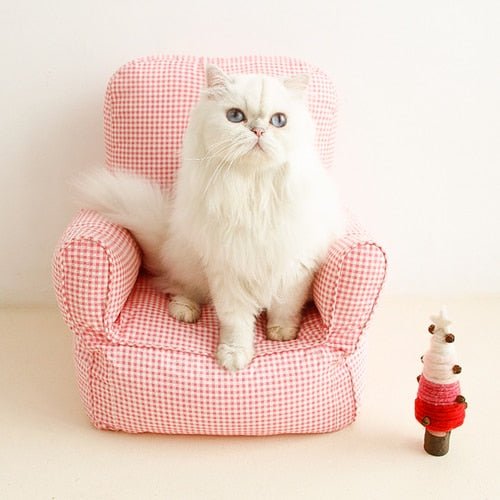 Dailypets Boss Cat Couch – Soft Elevated Sofa Bed