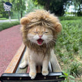 Dailypets Lion Mane Cat Hat for Photo Sessions and Dress-Up