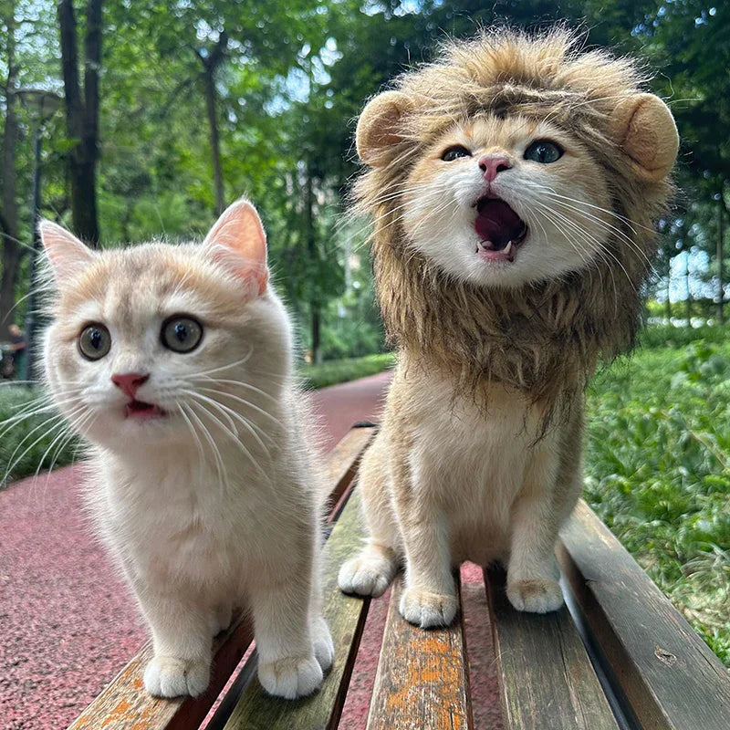 Dailypets Lion Mane Cat Hat for Photo Sessions and Dress-Up