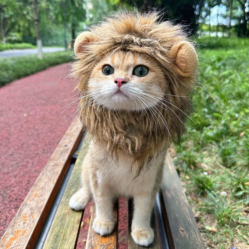 Dailypets Lion Mane Cat Hat for Photo Sessions and Dress-Up