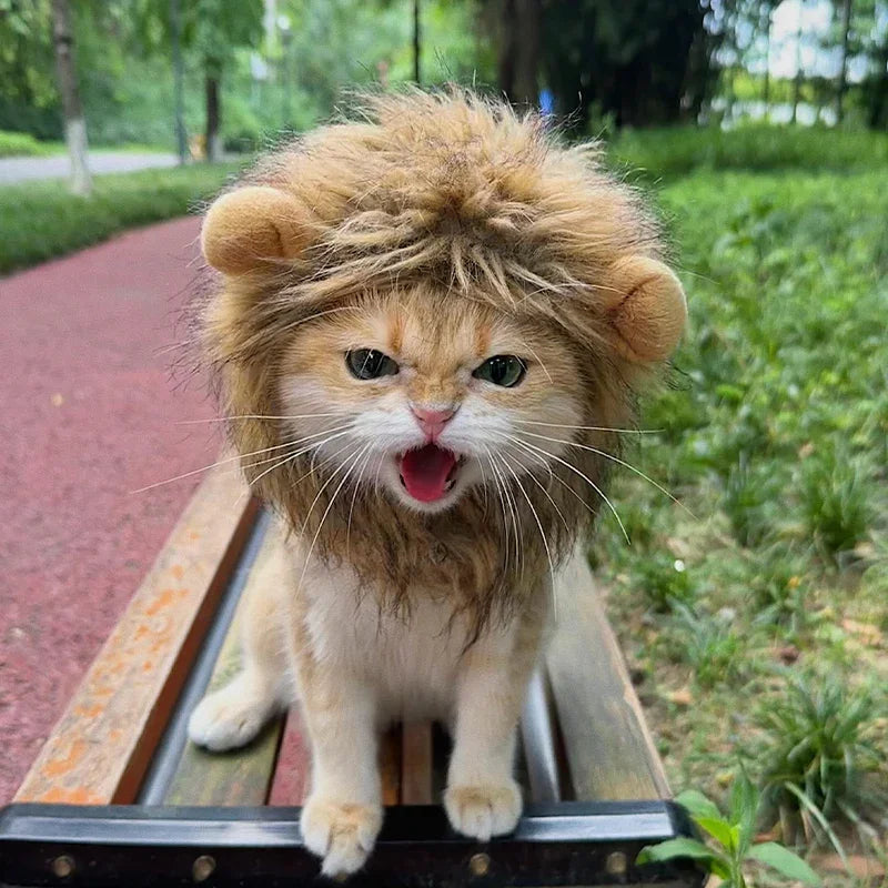 Dailypets Lion Mane Cat Hat for Photo Sessions and Dress-Up