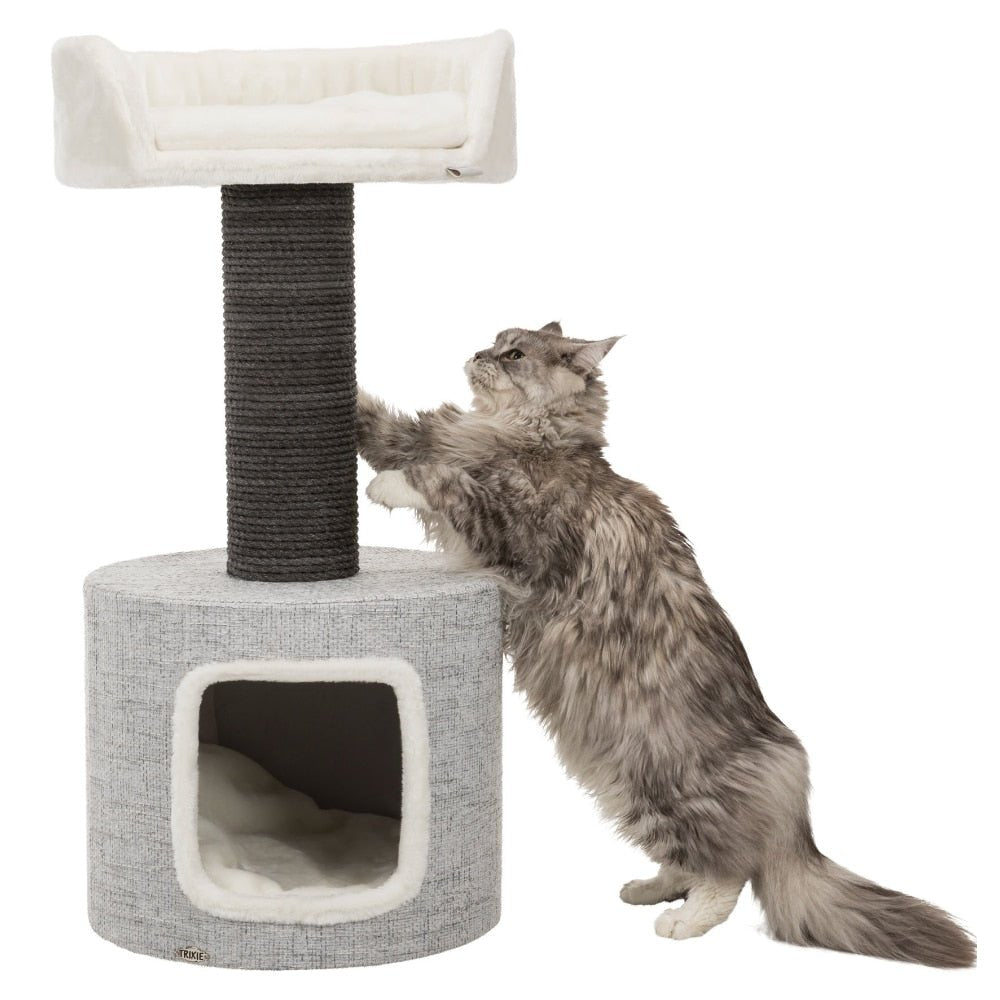 Dailypets Luxury Carpeted Cat Tree – Plush Cat Tower with Cozy Condo, Bed & Sisal Scratching Post
