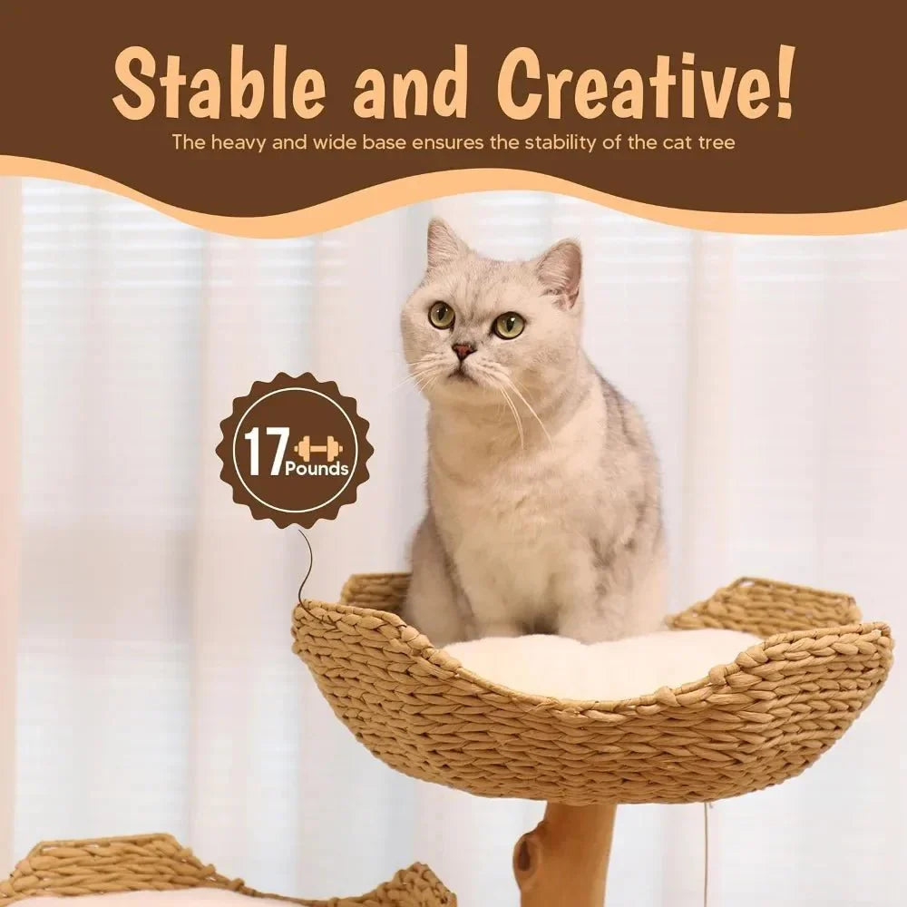 Dailypets Luxury Bohemian Cat Tree – Natural Wood Cat Furniture with Woven Basket Beds