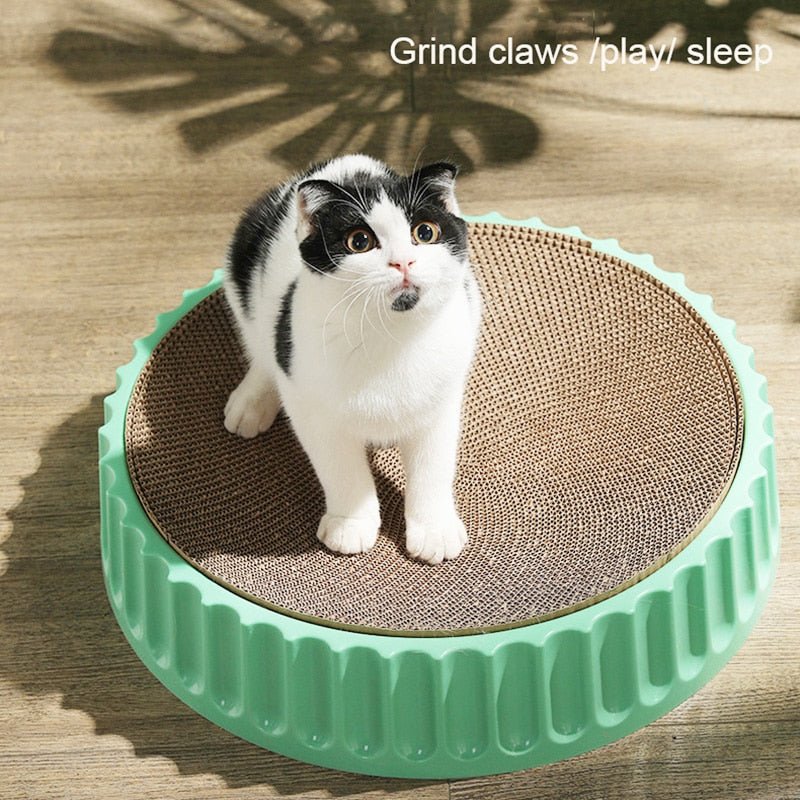 Dailypets Premium Cat Scratch Board – Round Macaron Bed with Replaceable Core
