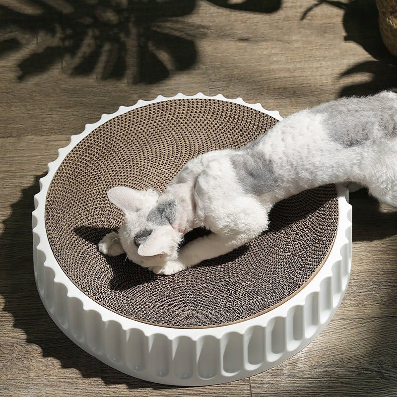 Dailypets Premium Cat Scratch Board – Round Macaron Bed with Replaceable Core