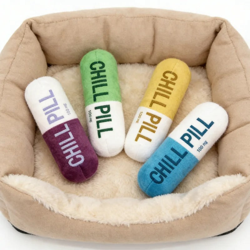 Dailypets Plush Capsule Dog Toy with Squeaker for Chewing & Play