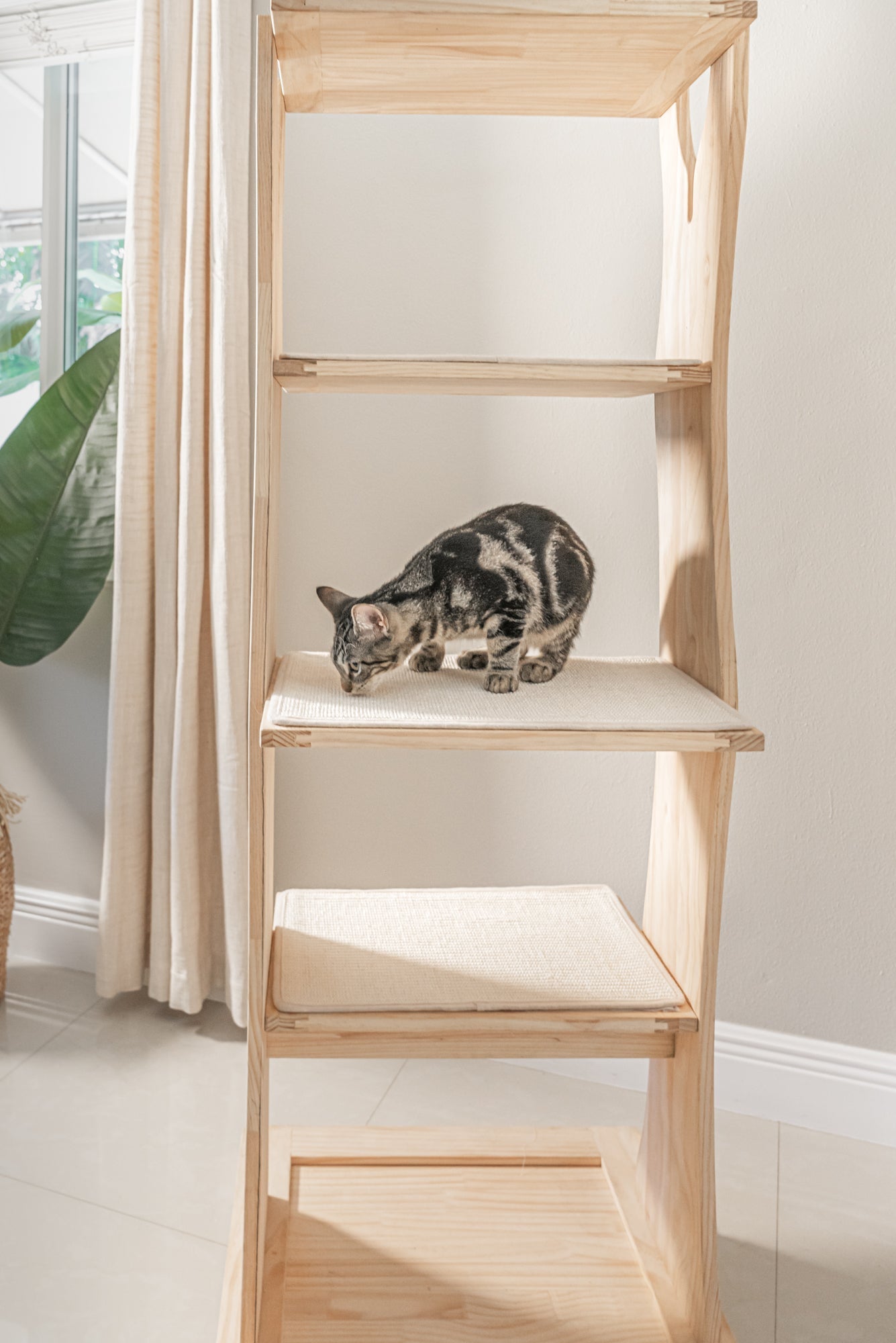 Dailypets Cat Activity Tree, Modern Climbing Tower for Multi-Cat Homes