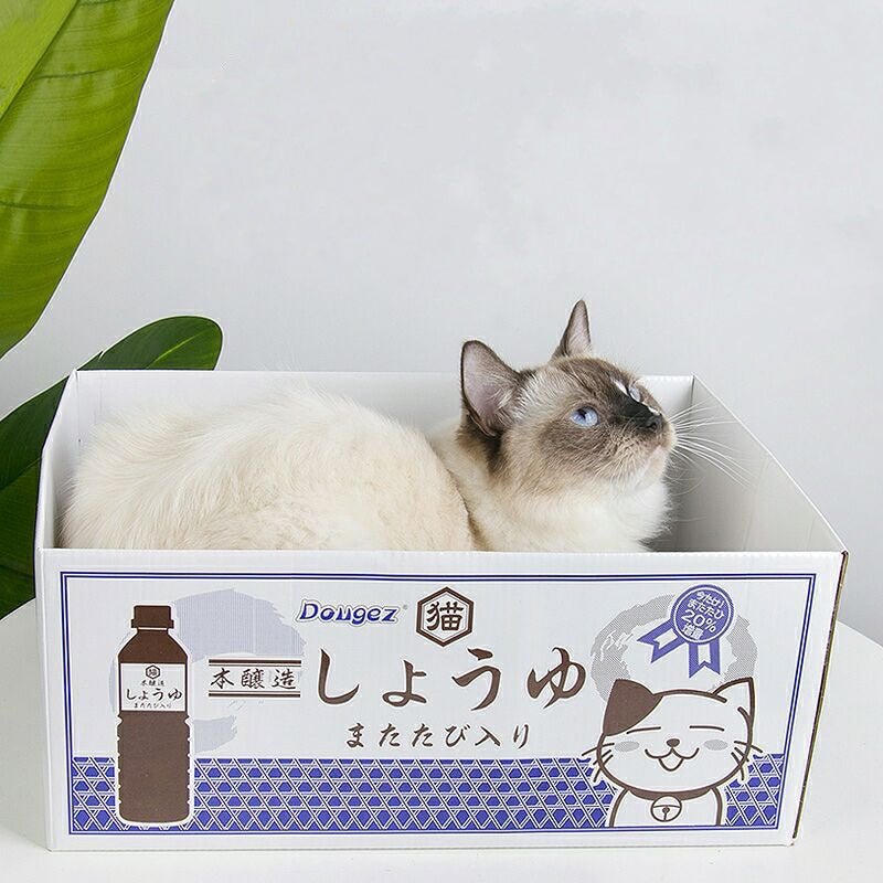 Dailypets Japanese Style Cardboard Cat Bed – Cozy Indoor Cat Lounge with Corrugated Base
