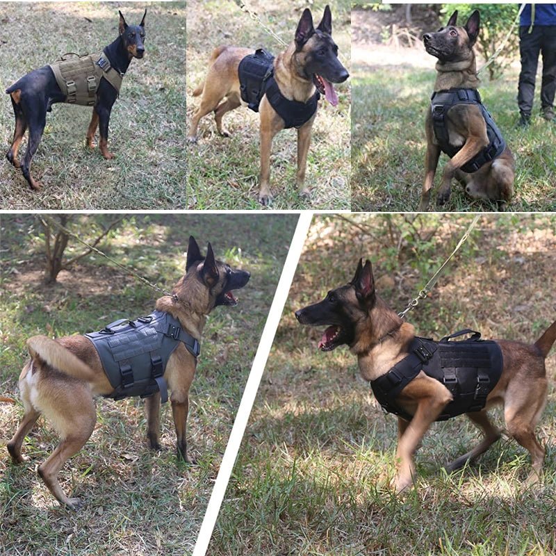 Dailypets Tactical Dog Harness with Handle & Leash for Training, Hiking & Outdoor Adventures