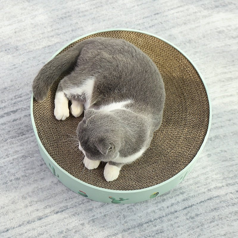 Dailypets Corrugated Cat Scratcher – Round Cat Bed with Cactus-Inspired Design