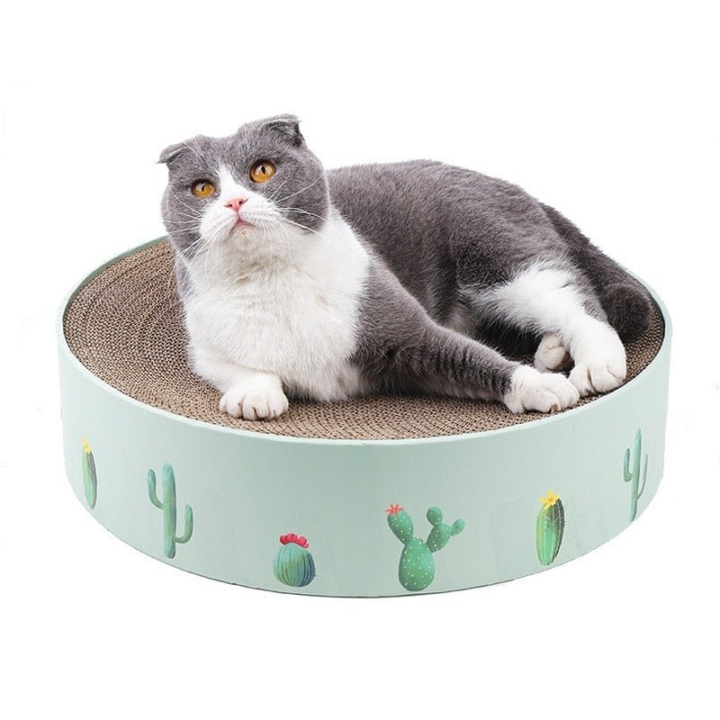 Dailypets Corrugated Cat Scratcher – Round Cat Bed with Cactus-Inspired Design