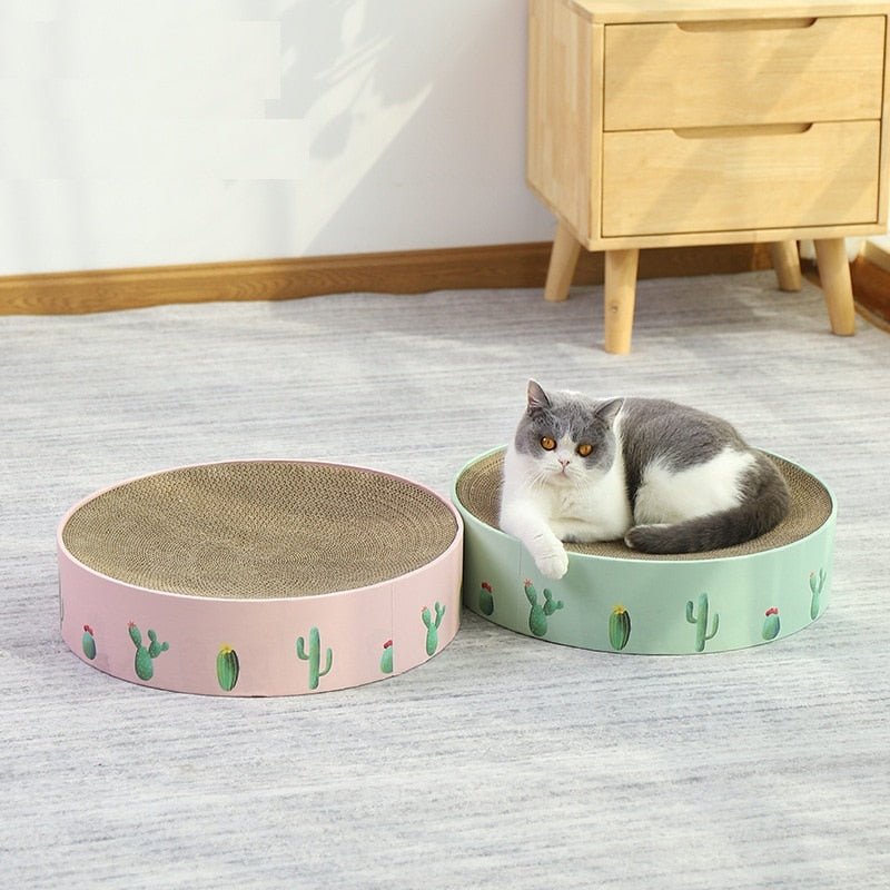 Dailypets Corrugated Cat Scratcher – Round Cat Bed with Cactus-Inspired Design