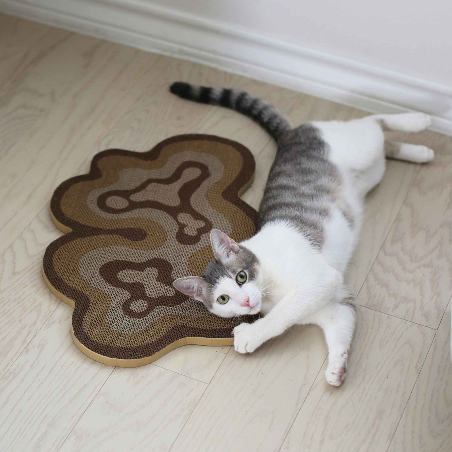 Dailypets Abstract Cardboard Cat Scratcher