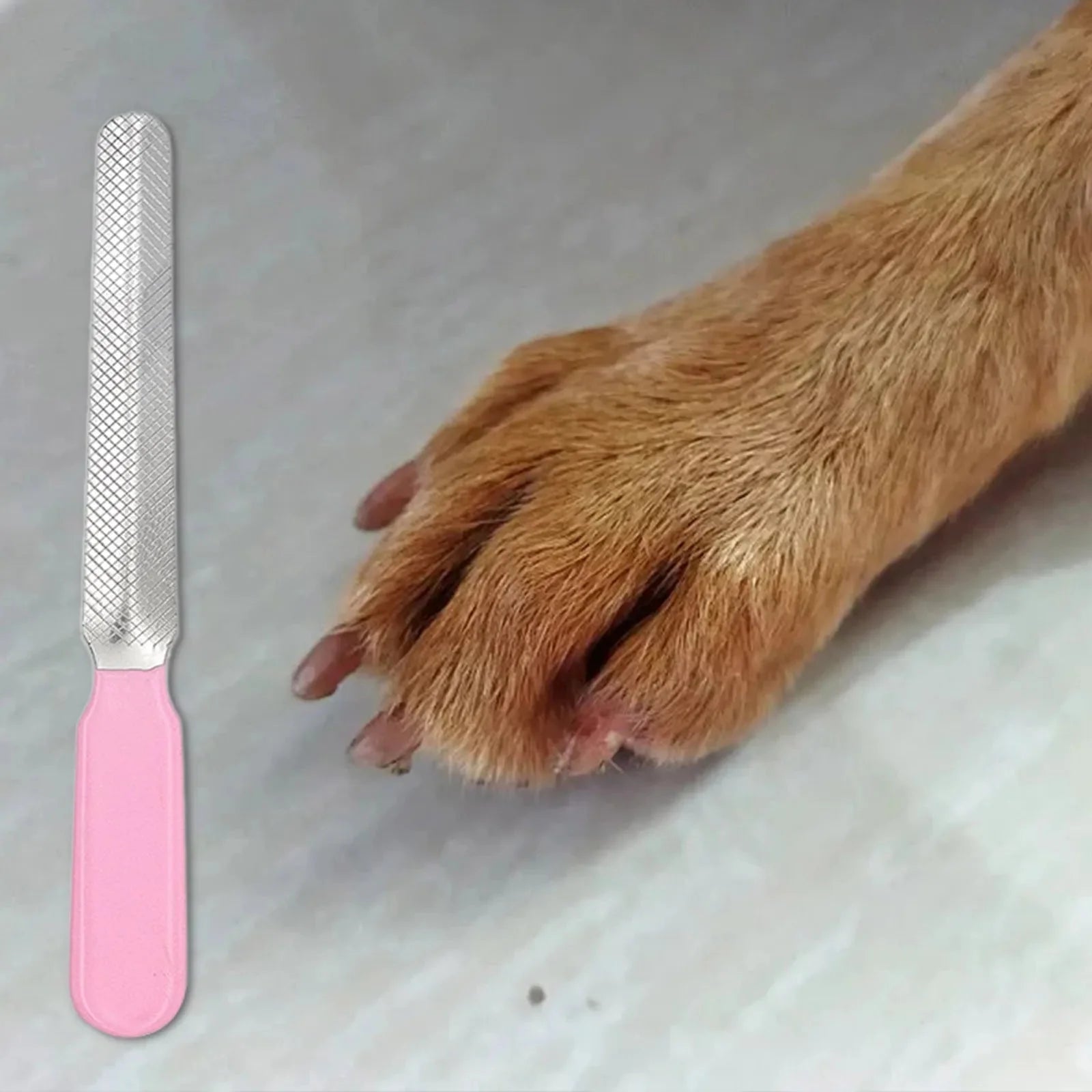 Dailypets Durable Pet Nail File with Three-Grit Surface for Dogs, Cats, and Small Pets