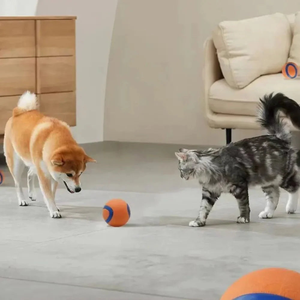 Dailypets Indestructible Dog Ball Toy for Aggressive Chewers and Interactive Fetch Play