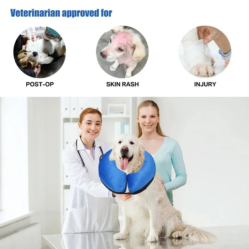 Dailypets Comfortable Inflatable Recovery Collar for Dogs and Cats Healing Support