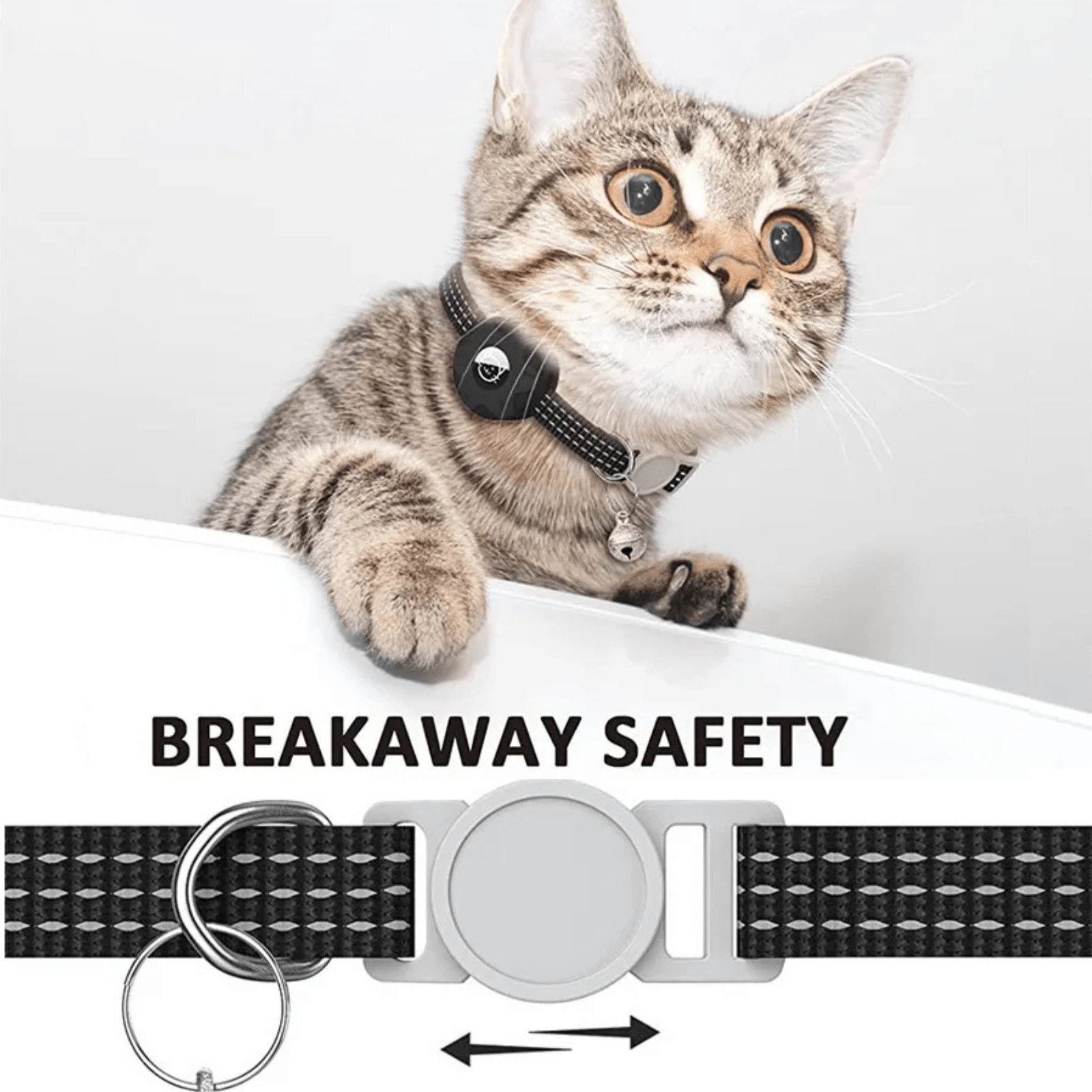 Dailypets Smart Pet Tracker and Reflective Collar Set for Cats Using Android Find My Device