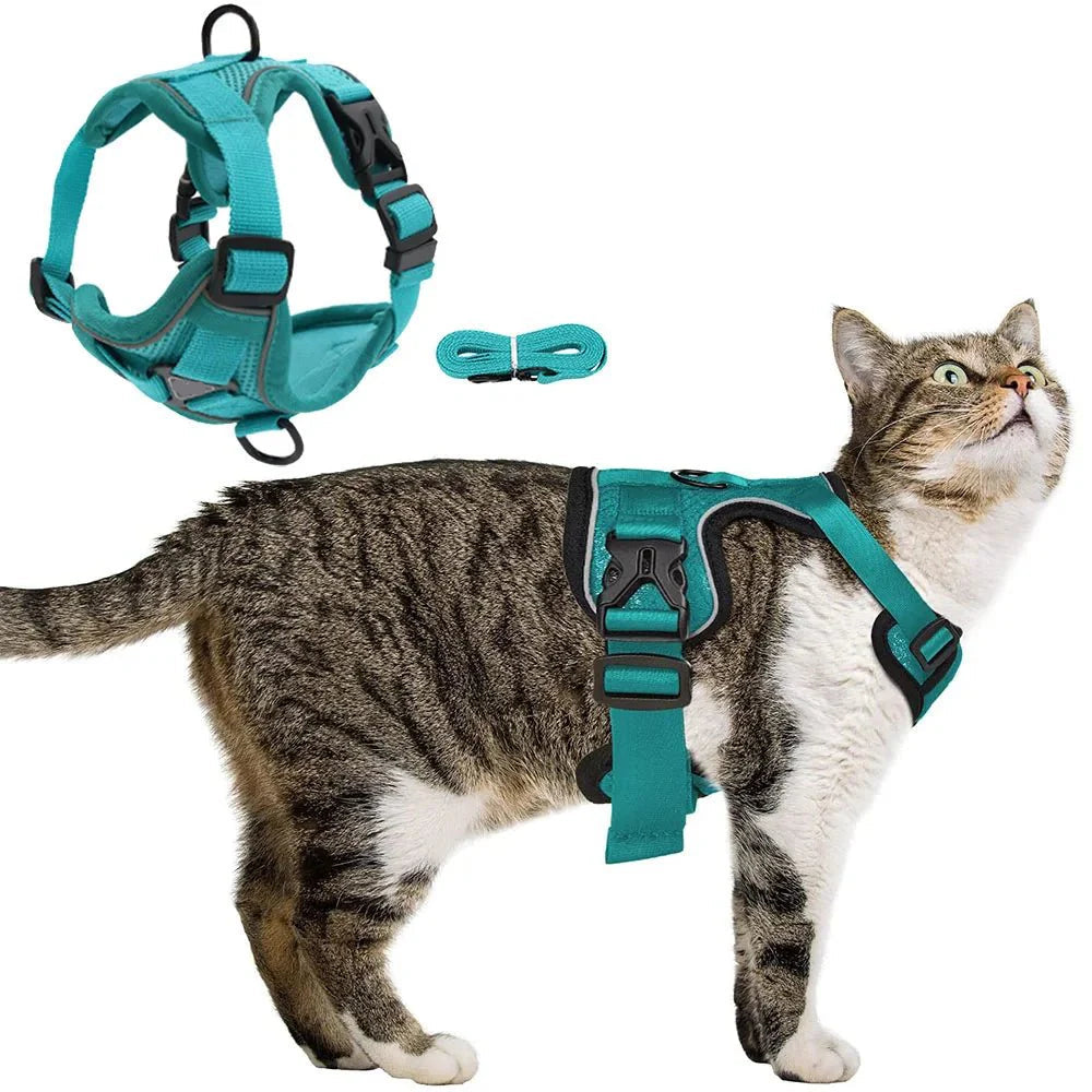 Dailypets Escape Proof Pet Harness with Reflective Breathable Mesh for Daily Walks