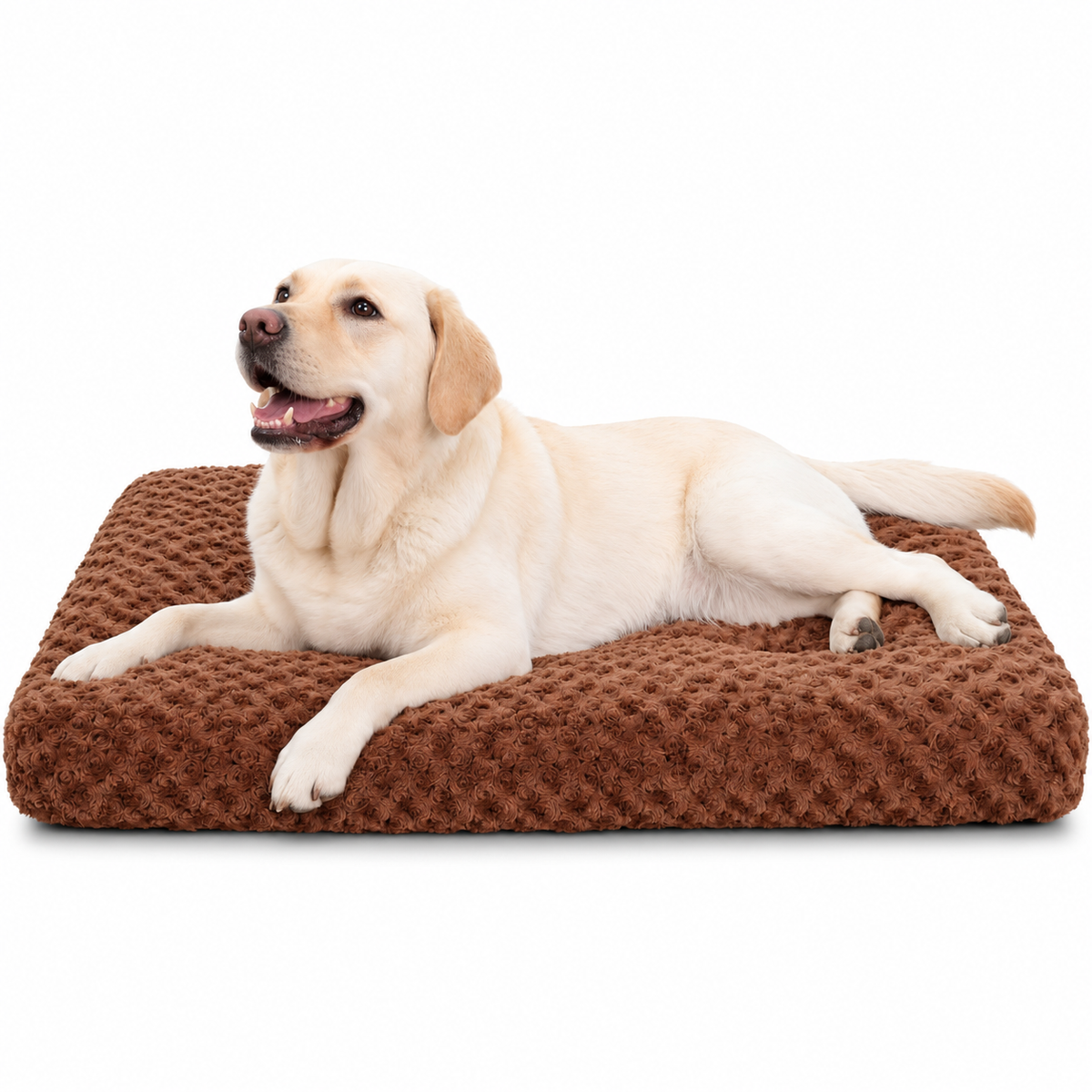 POUPIPETS Dog Bed – Washable Plush Crate Mat, Soft Cushioned 35 x 23 Inch Gray