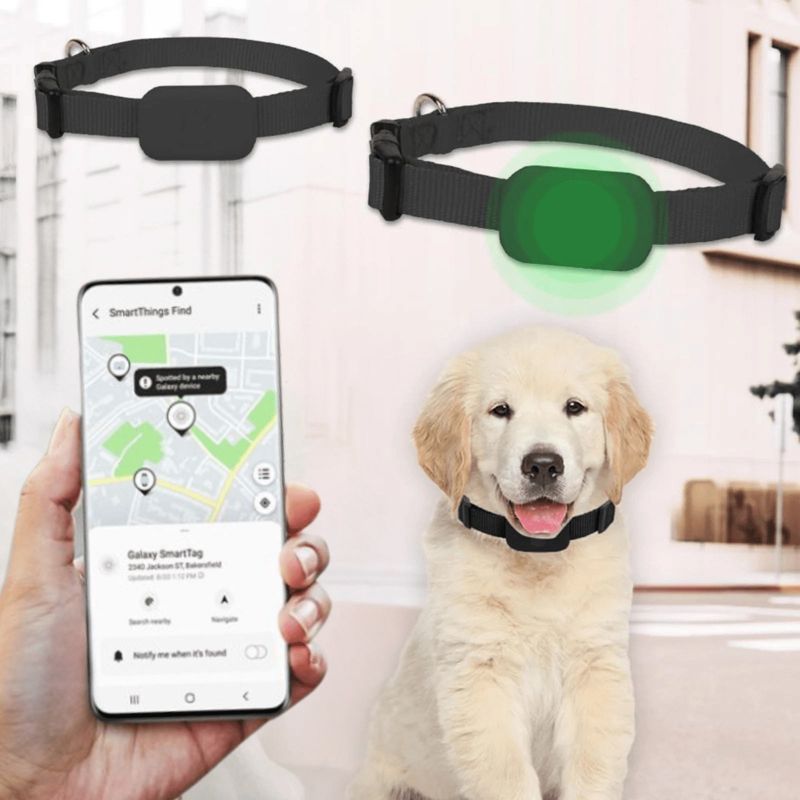 Dailypets Android Pet Tracker with SmartTag App and Bluetooth Location Support