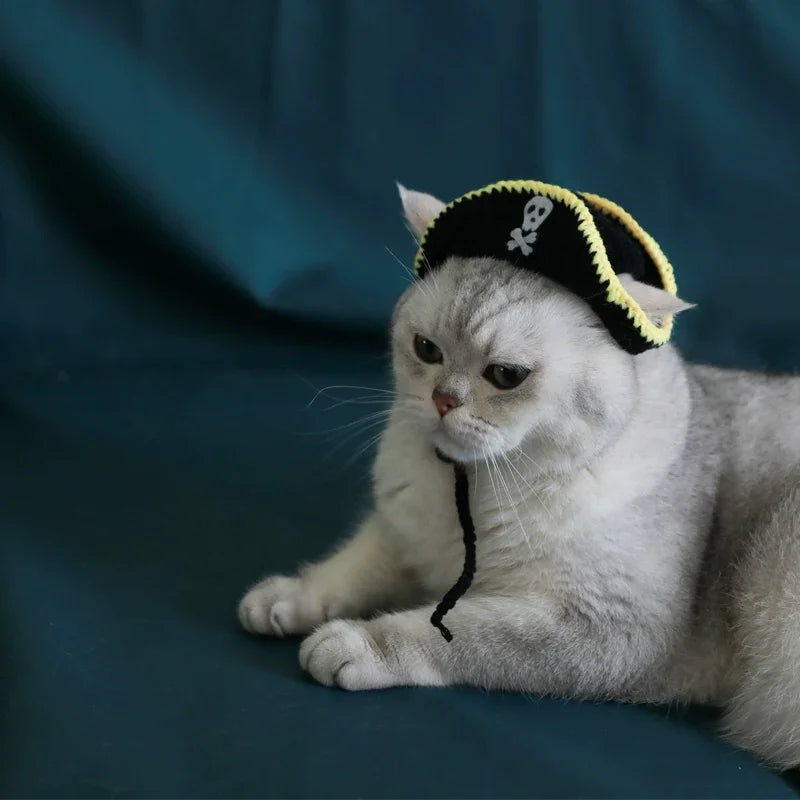 Dailypets Pirate Cat Hat with Skull Emblem for Photos and Costume Parties