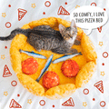 Dailypets Pizza Cat Bed Cozy Deep Dish Style Pet Nest