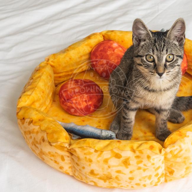 Dailypets Pizza Cat Bed Cozy Deep Dish Style Pet Nest