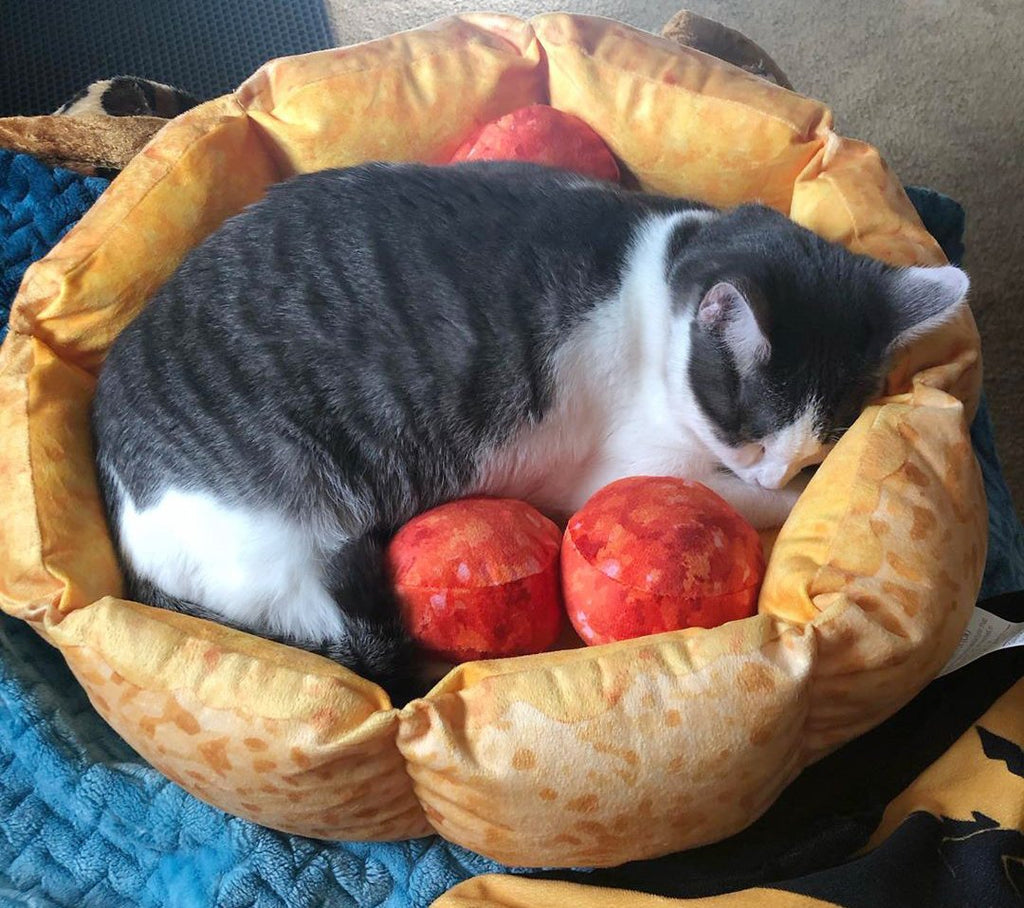 Dailypets Pepperoni Pizza Cat Bed, Plush Bed for Rest and Play