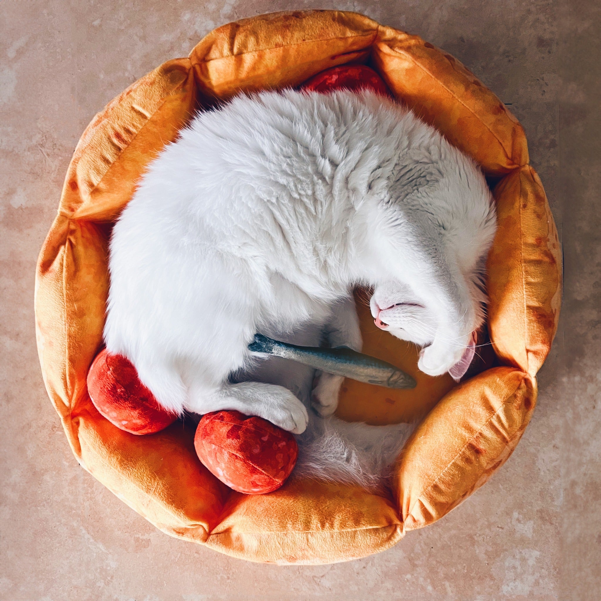 Dailypets Pizza Shaped Cat Bed with Plush Topping Toy Pillows