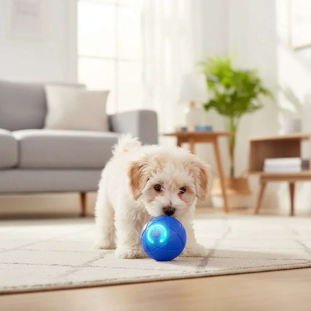 Dailypets Smart Rolling Ball for Pets with Touch Activation and Rechargeable Design