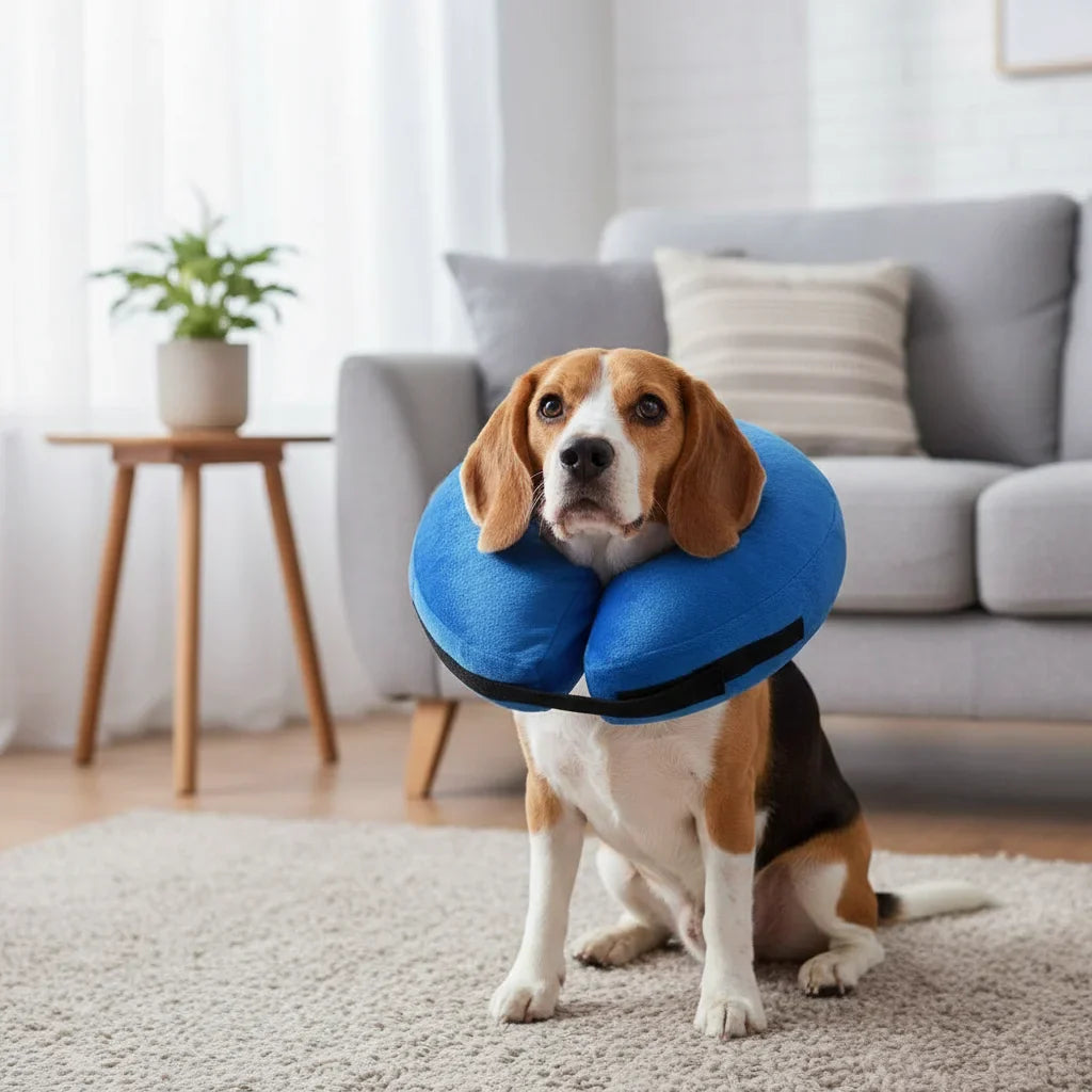 Dailypets Comfortable Inflatable Recovery Collar for Dogs and Cats Healing Support