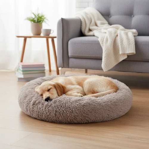Dailypets Calming Plush Pet Bed with Raised Supportive Rim for Restful Everyday Sleep