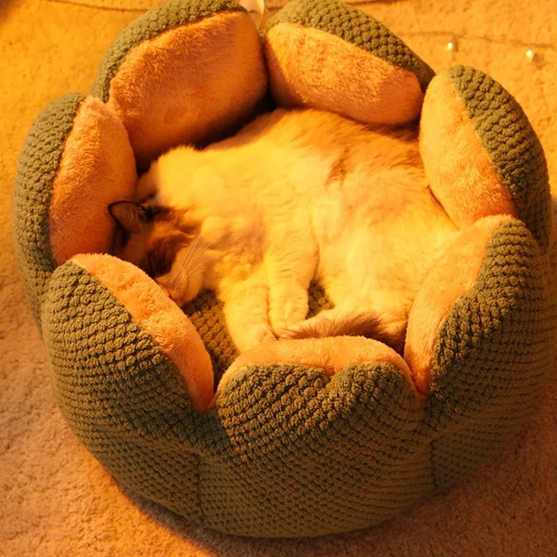 Dailypets Shell Cat Retreat – Soft Fleece Calming Cat Bed