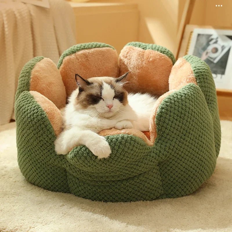 Dailypets Luxury Cat Bed, Calming Shell Throne with Anti-Slip Bottom