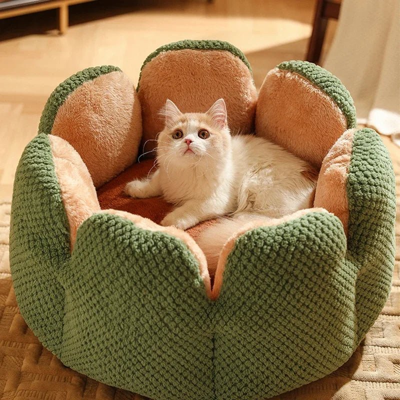 Dailypets Luxury Cat Bed, Calming Shell Throne with Anti-Slip Bottom