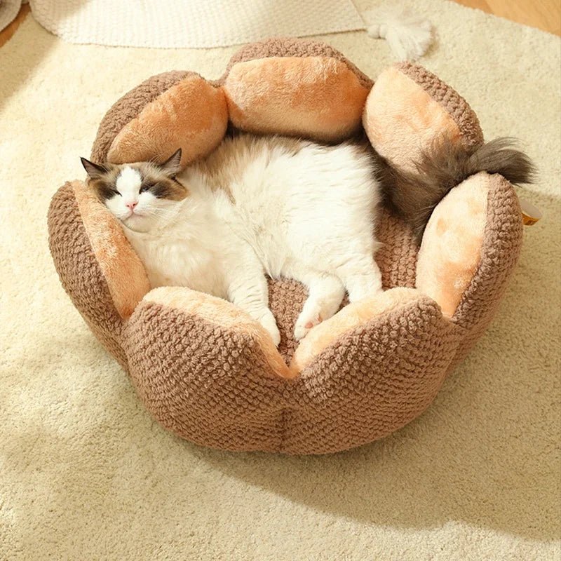 Dailypets Luxury Cat Bed, Calming Shell Throne with Anti-Slip Bottom