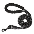 Dailypets Braided Reflective Dog Leash with Padded Handle for Everyday Walks
